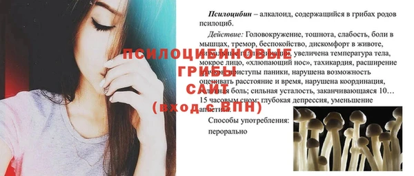 эйфоретик Губаха
