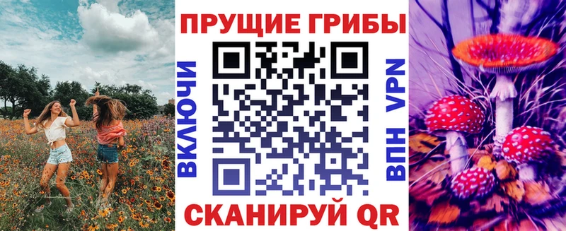 наркошоп  Вичуга  Псилоцибиновые грибы мухоморы 