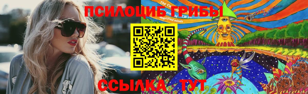 Галлюциногенные грибы Cubensis Вичуга
