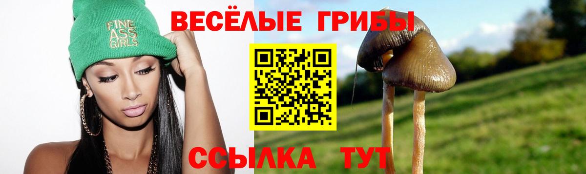 Псилоцибиновые грибы Psilocybine cubensis  Вичуга  Галлюциногенные грибы GOLDEN TEACHER 